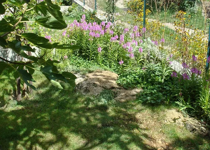 Apartament Karmel